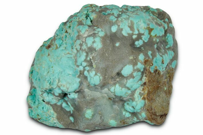 Tumbled Turquoise Specimen - Number Mine, Carlin, NV #331224